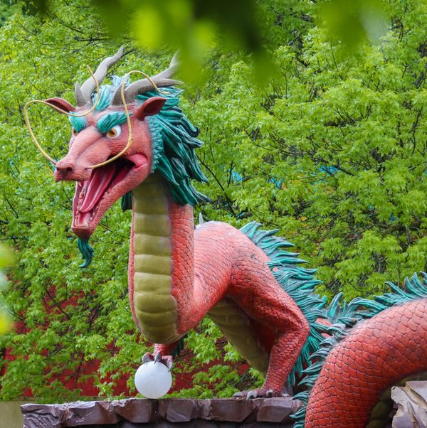 Dragons & Fantastic Beasts