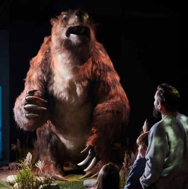 Giants Of The Ice Age
