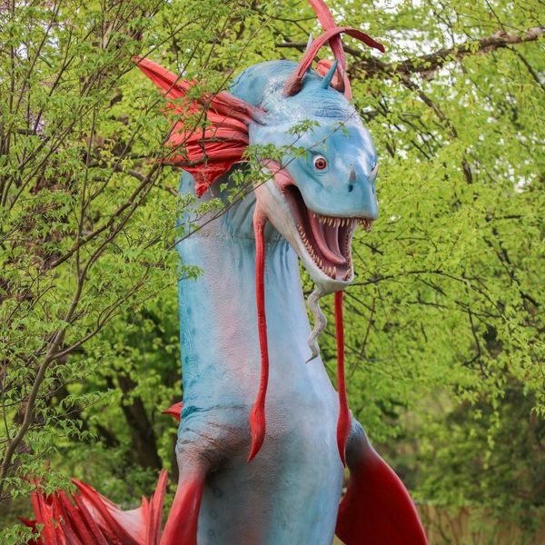 Dragons & Fantastic Beasts