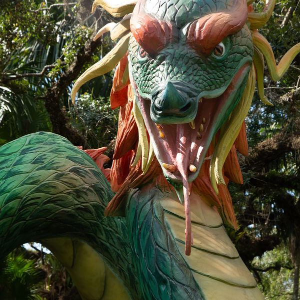 Dragons & Fantastic Beasts