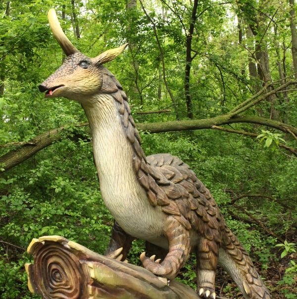 Dragons & Fantastic Beasts