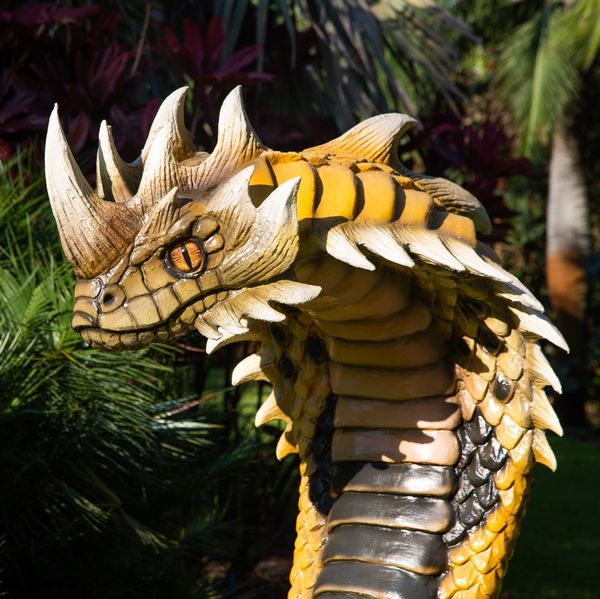 Dragons & Fantastic Beasts