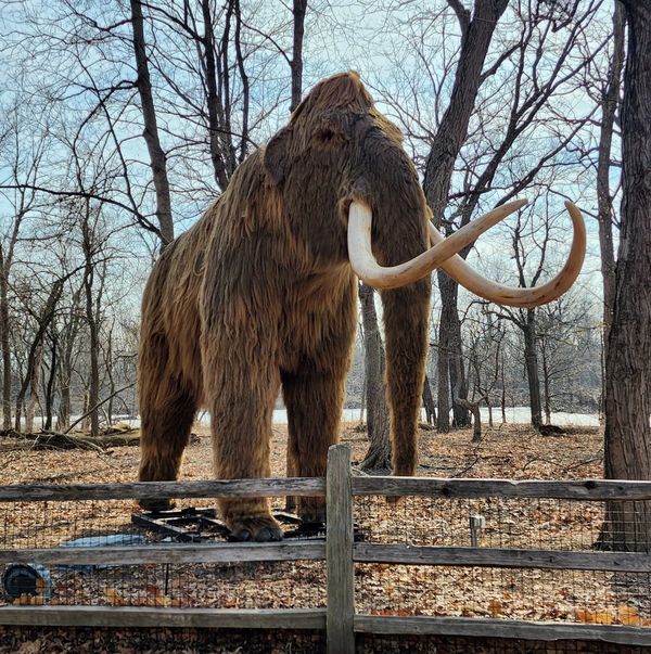 Giants Of The Ice Age