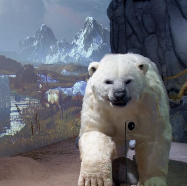 Giants Of The Ice Age